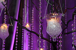 BIG BROTHERS BIG SISTERS GALA